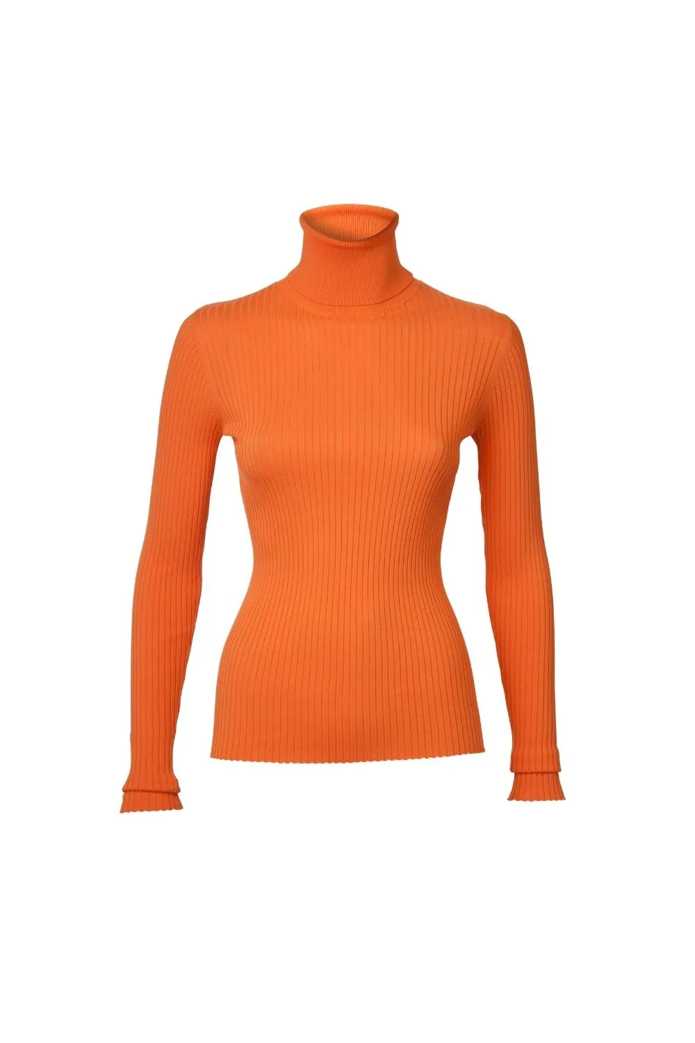 Stacy Turtleneck